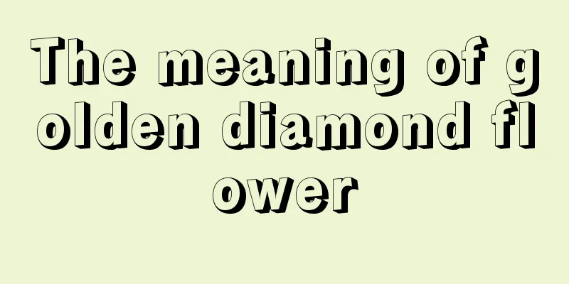 The meaning of golden diamond flower