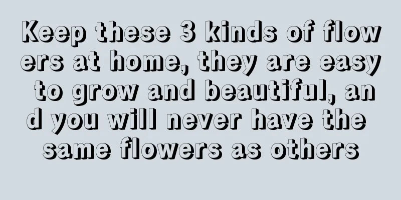 Keep these 3 kinds of flowers at home, they are easy to grow and beautiful, and you will never have the same flowers as others