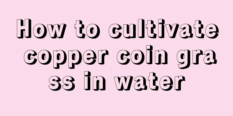 How to cultivate copper coin grass in water