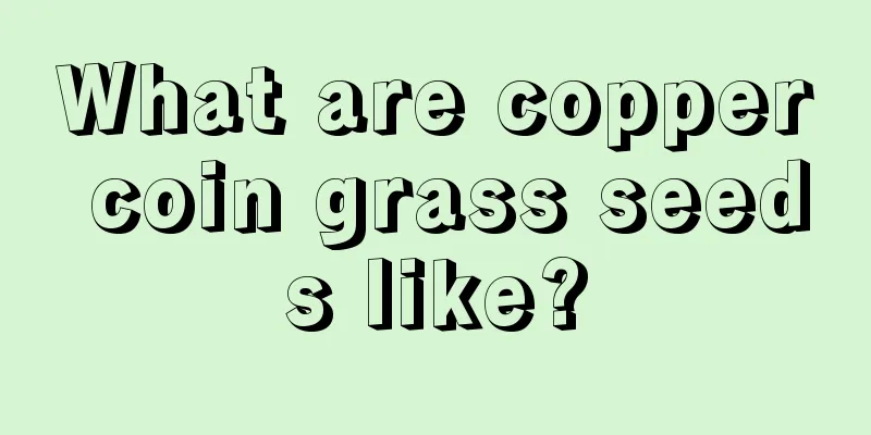 What are copper coin grass seeds like?