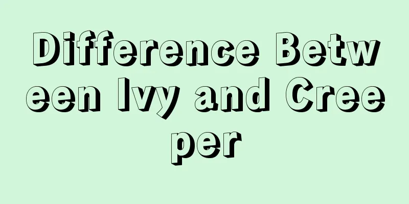 Difference Between Ivy and Creeper