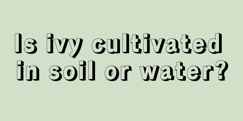 Is ivy cultivated in soil or water?