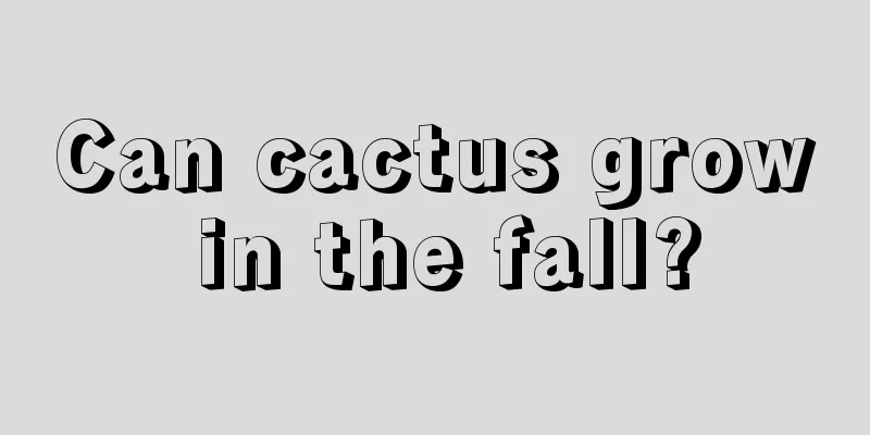 Can cactus grow in the fall?