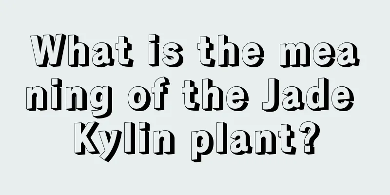 What is the meaning of the Jade Kylin plant?