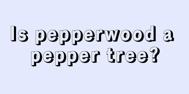 Is pepperwood a pepper tree?