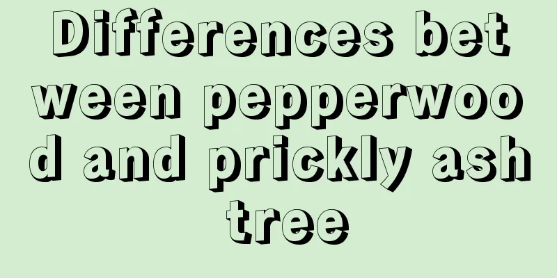 Differences between pepperwood and prickly ash tree