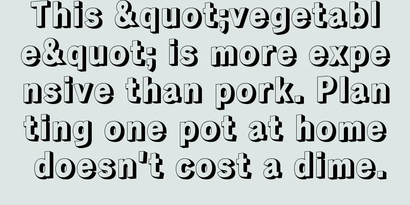 This "vegetable" is more expensive than pork. Planting one pot at home doesn't cost a dime.