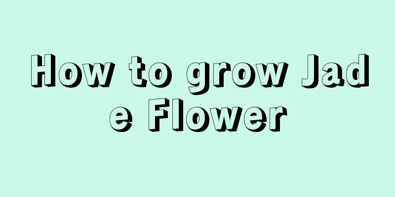 How to grow Jade Flower