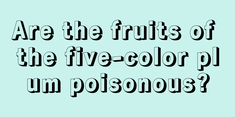 Are the fruits of the five-color plum poisonous?