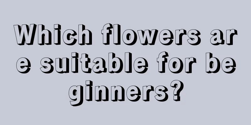 Which flowers are suitable for beginners?