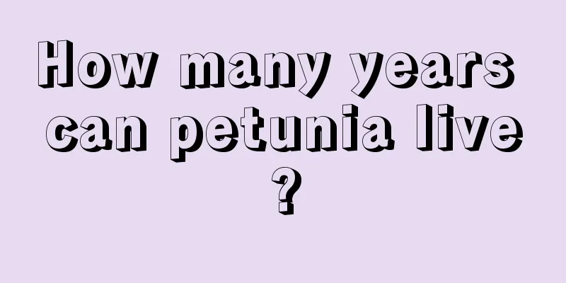 How many years can petunia live?