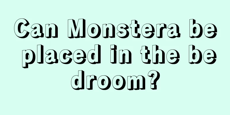 Can Monstera be placed in the bedroom?