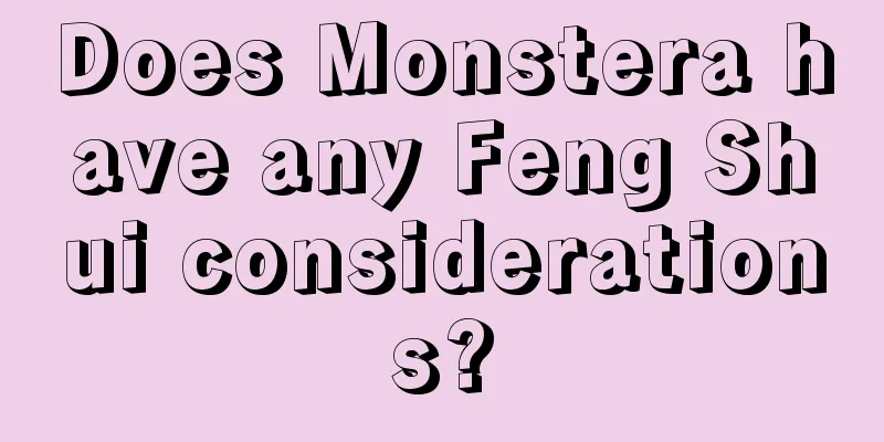 Does Monstera have any Feng Shui considerations?