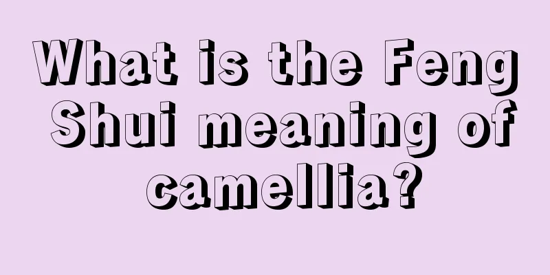 What is the Feng Shui meaning of camellia?