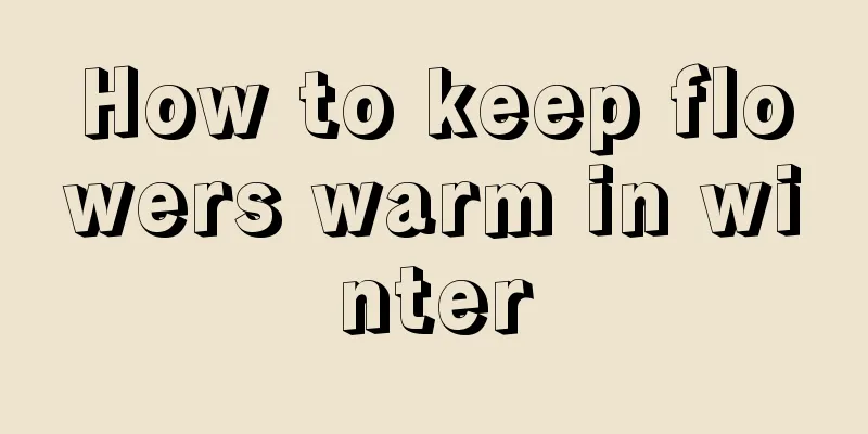 How to keep flowers warm in winter