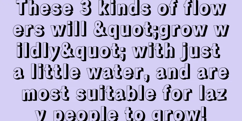 These 3 kinds of flowers will "grow wildly" with just a little water, and are most suitable for lazy people to grow!