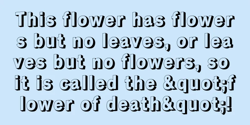 This flower has flowers but no leaves, or leaves but no flowers, so it is called the "flower of death"!