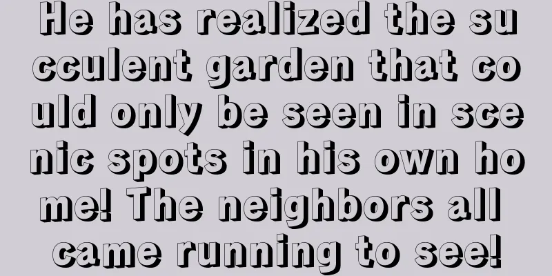 He has realized the succulent garden that could only be seen in scenic spots in his own home! The neighbors all came running to see!