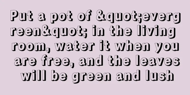 Put a pot of "evergreen" in the living room, water it when you are free, and the leaves will be green and lush