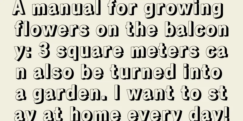 A manual for growing flowers on the balcony: 3 square meters can also be turned into a garden. I want to stay at home every day!