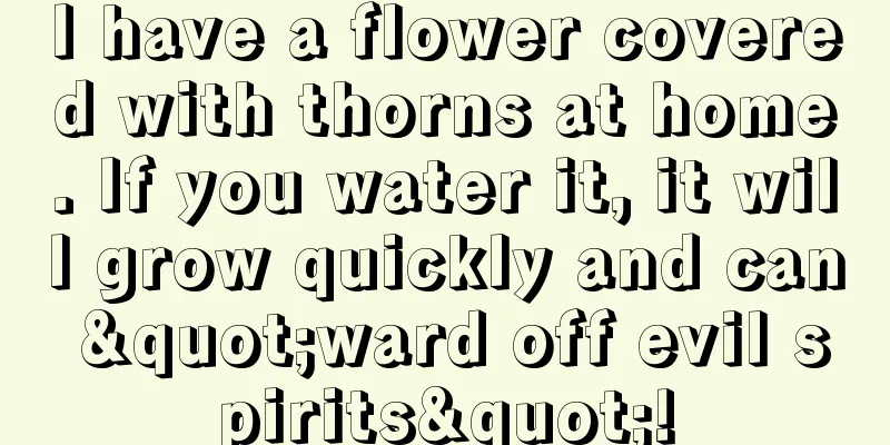 I have a flower covered with thorns at home. If you water it, it will grow quickly and can "ward off evil spirits"!