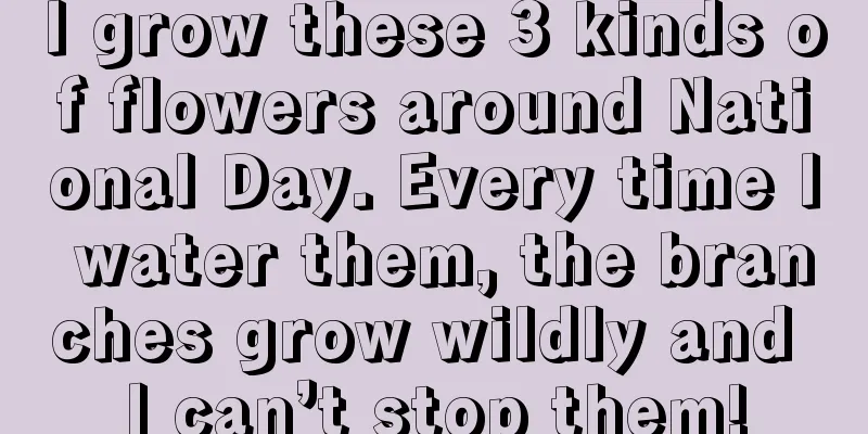 I grow these 3 kinds of flowers around National Day. Every time I water them, the branches grow wildly and I can’t stop them!