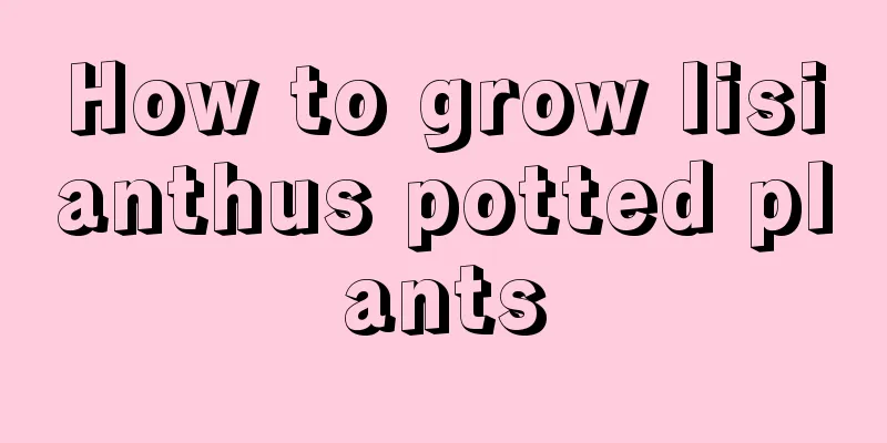 How to grow lisianthus potted plants