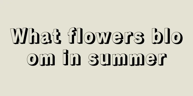 What flowers bloom in summer