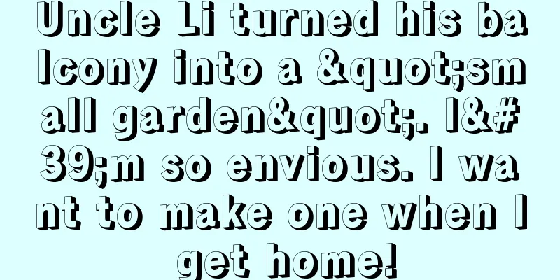 Uncle Li turned his balcony into a "small garden". I'm so envious. I want to make one when I get home!