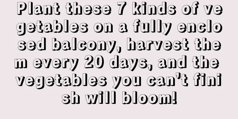 Plant these 7 kinds of vegetables on a fully enclosed balcony, harvest them every 20 days, and the vegetables you can’t finish will bloom!