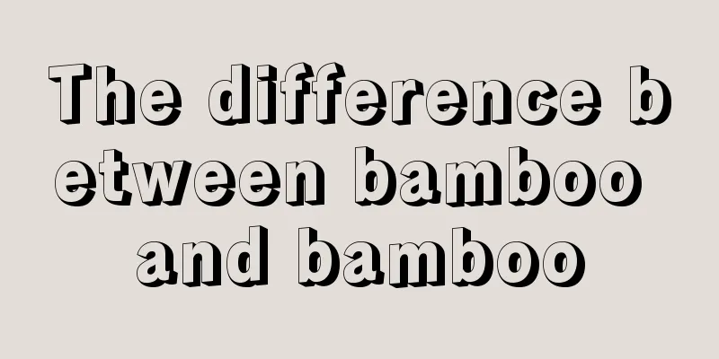 The difference between bamboo and bamboo