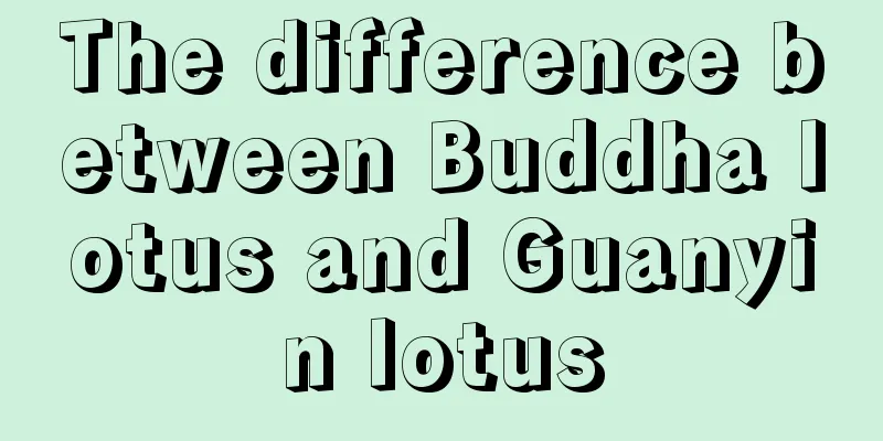 The difference between Buddha lotus and Guanyin lotus