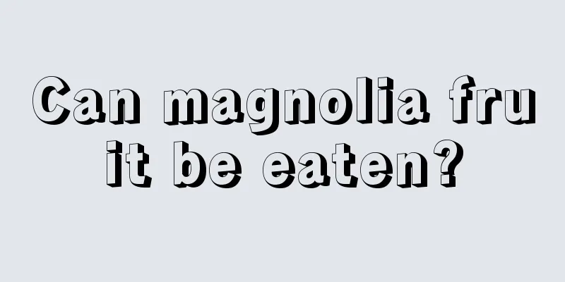 Can magnolia fruit be eaten?