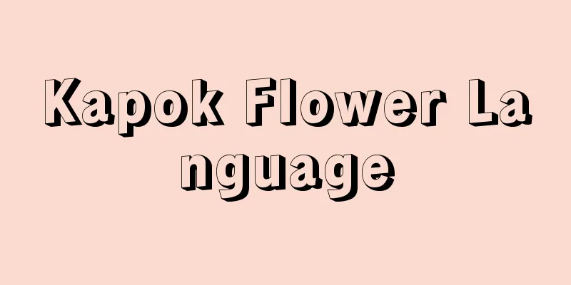 Kapok Flower Language