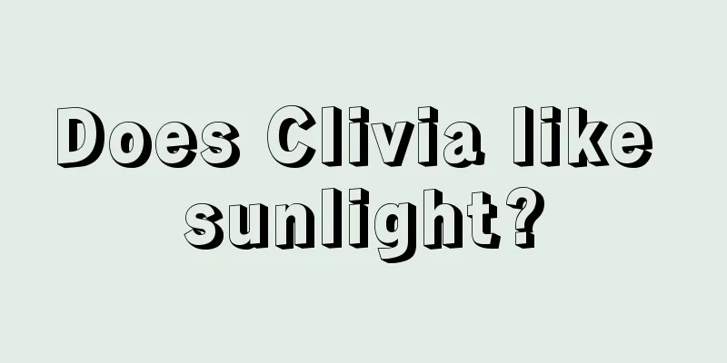 Does Clivia like sunlight?