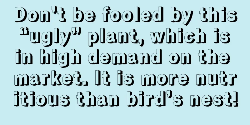 Don’t be fooled by this “ugly” plant, which is in high demand on the market. It is more nutritious than bird’s nest!