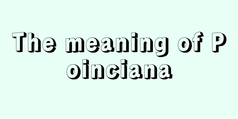 The meaning of Poinciana