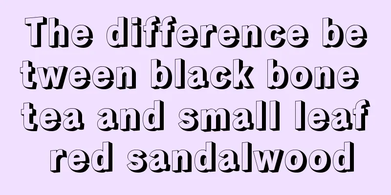 The difference between black bone tea and small leaf red sandalwood