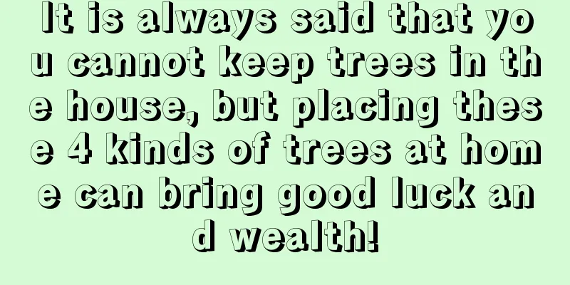 It is always said that you cannot keep trees in the house, but placing these 4 kinds of trees at home can bring good luck and wealth!