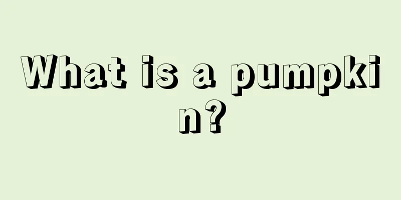 What is a pumpkin?