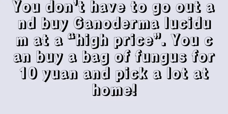 You don’t have to go out and buy Ganoderma lucidum at a “high price”. You can buy a bag of fungus for 10 yuan and pick a lot at home!