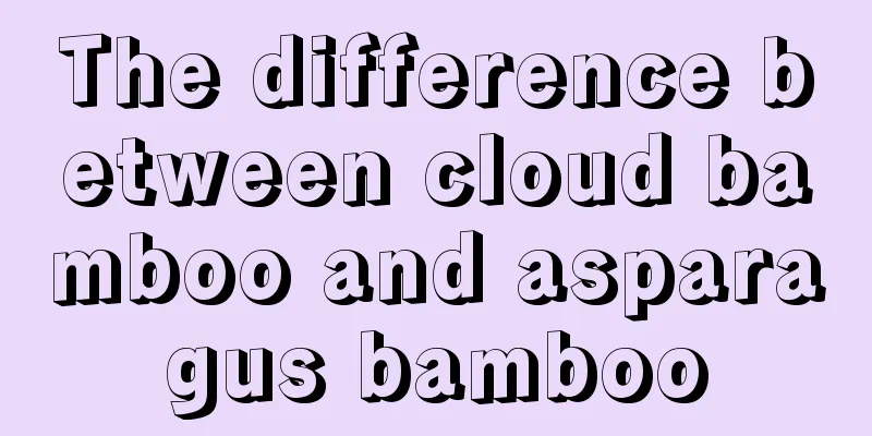 The difference between cloud bamboo and asparagus bamboo