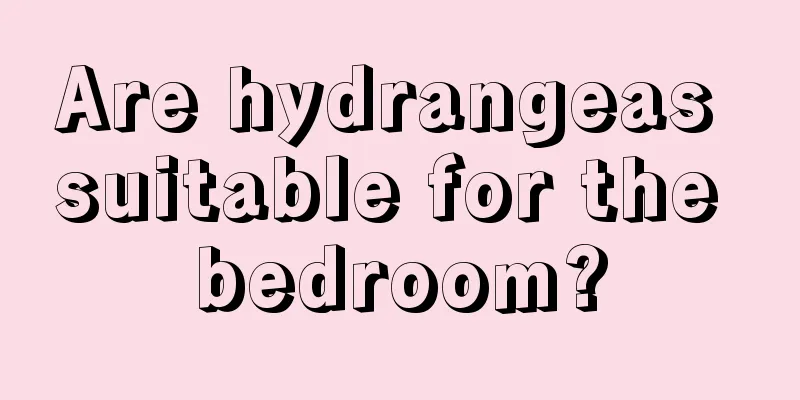 Are hydrangeas suitable for the bedroom?