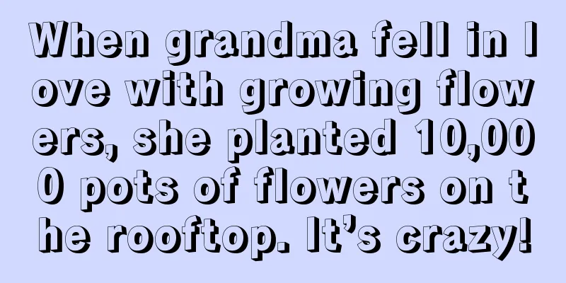 When grandma fell in love with growing flowers, she planted 10,000 pots of flowers on the rooftop. It’s crazy!