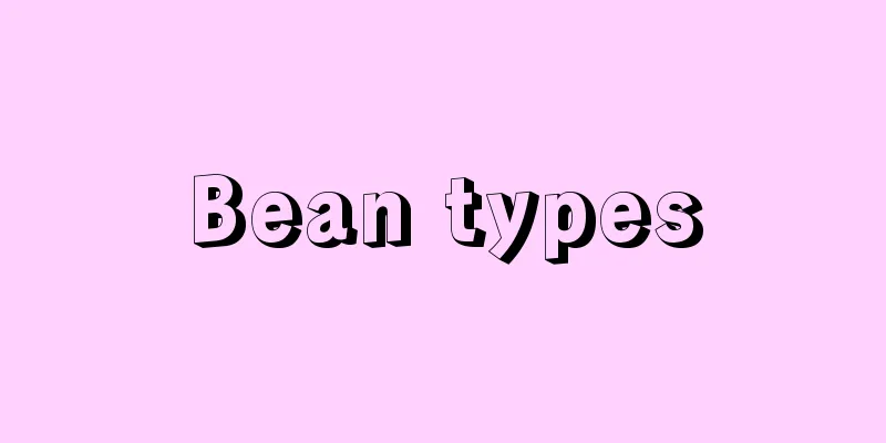 Bean types