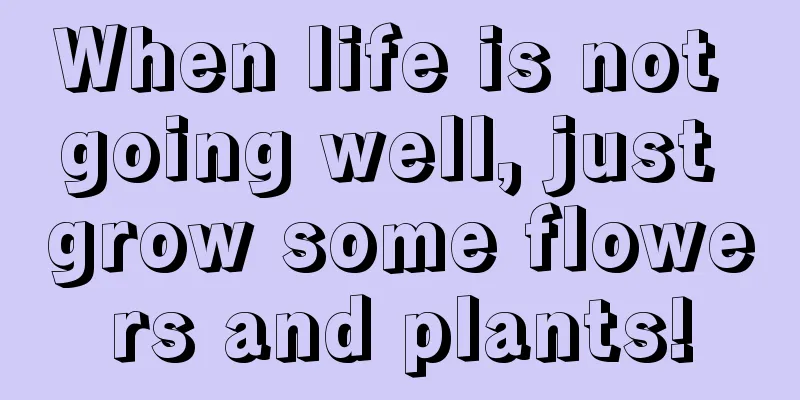 When life is not going well, just grow some flowers and plants!