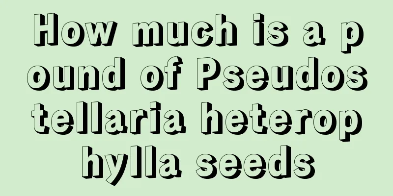 How much is a pound of Pseudostellaria heterophylla seeds