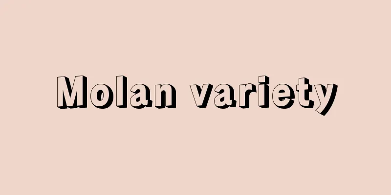 Molan variety