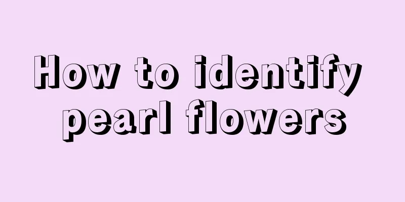 How to identify pearl flowers