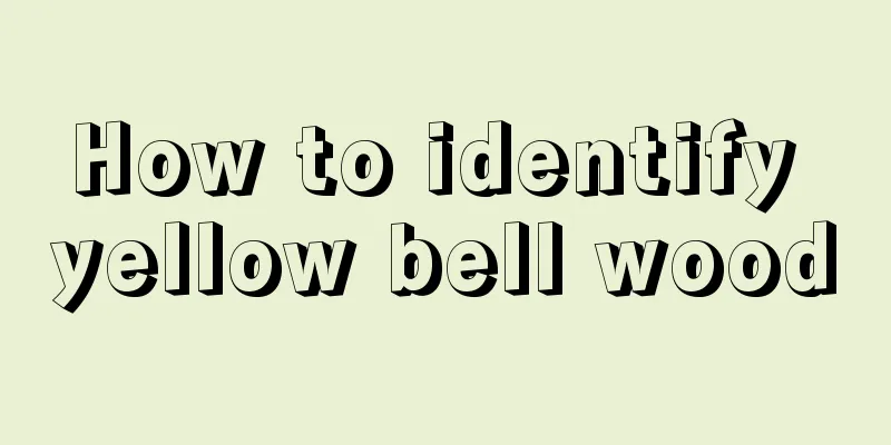 How to identify yellow bell wood